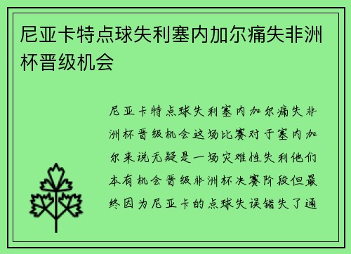 尼亚卡特点球失利塞内加尔痛失非洲杯晋级机会